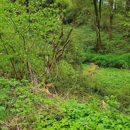 Gansaecker By Interhome Apartment Homberg (Schwalm-Eder)