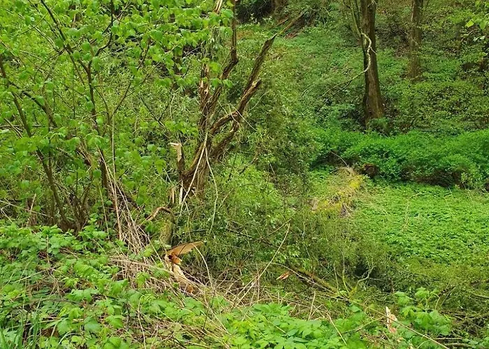 Gansaecker By Interhome Apartment Homberg (Schwalm-Eder)